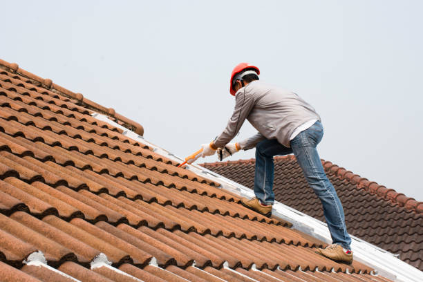 Best Roof Moss and Algae Removal  in Toluca, IL