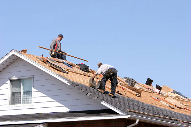Best Skylight Installation and Repair  in Toluca, IL