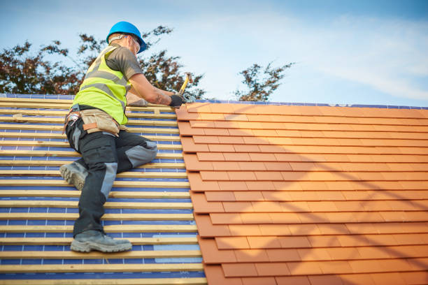 Best Green or Eco-Friendly Roofing Solutions  in Toluca, IL